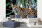 Vlies Fototapete CEYLON-LEOPARD 375 x 250 cm (inkl. Kleister) - Vlies Tapete, Wandtapete, Wandbilder - Tapete für Wohnzimmer Schlafzimmer, Büro, Küche - Montagefertig