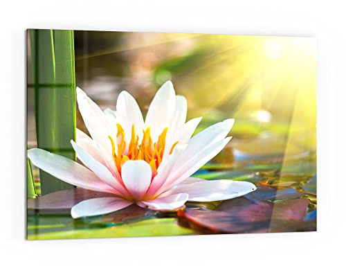 DEQORI Küchenrückwand Glas | Motiv Weiße Seerosenblüte | 60x40 cm | Bad- oder Herd-Rückwand | Herdblende Spritzschutz für Küche & Badezimmer | moderne Deko für Fliesenspiegel