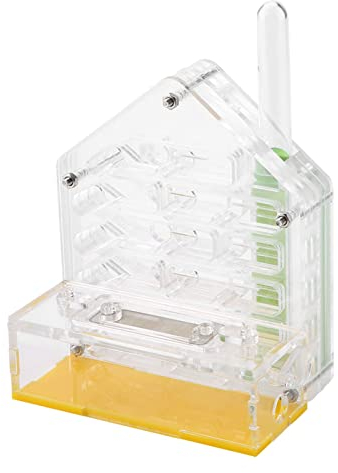 SUPYINI Farm The Ant Farm is Alive 12×11×8 Acryl Ant Villa Farm House Formicarium Ameisenfütterung