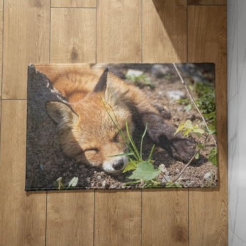 EHOMERY Abtreter Fußmatte Innen Groß Türmatte XL Fuchs Fußmatte Innen Groß Antirutsch Sauberlaufmatte Extra Dünn 50x80cm, rutschfeste Dekorative Fußmatte Aus Plüschbaumwolle