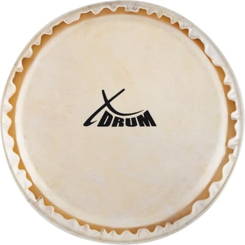 XDrum Bongo Fell 7,5 - Natur-Fell für Bongo-Trommel - Durchmesser: 7,5 Zoll - Natur