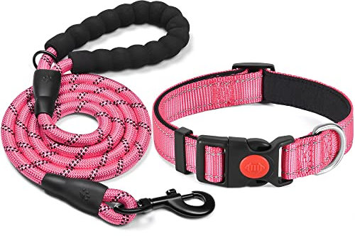 haapaw Collier pour Chien réfléchissant rembourré en néoprène Souple et Respirant, réglable en Nylon pour Petits, Moyens et Grands Chiens Rose