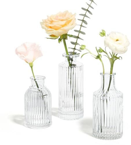 Comsaf Kleine Vasen Deko für Tischdeko-3er Set, Mini Glasvase, Klar Blumenvasen Glas für Tischdeko Hochzeit, Party, Rosen, Tulpen, Verschiedene Größen, Transparent