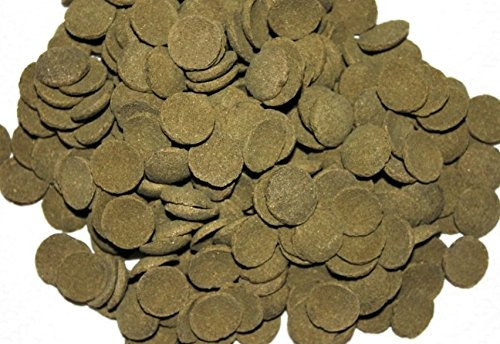 Hausmarke Welschips Algae Wafers Plecos für Welse Corydoras Futtertabletten Spirulina Welsfutter (10 Liter)