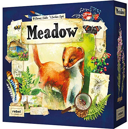 Asmodee - Meadow - Brettspiel, 1-4 Spieler, ab 10 Jahren, italienische Ausgabe