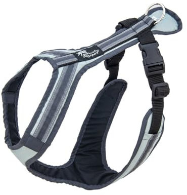 Safety Führ- und Zuggeschirr | Mantrailing | Canicross | Zughundesport | Alltagsgeschirr | Führgeschirr (Grau-Anthrazit, ML - 28-32 Kg)