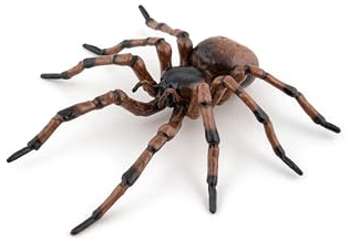 Papo - 50292 - Gemeine Spinne - GARTENTIERE - Für Kinder - Geeignet für Jungen und Mädchen - Ab 3 Jahren