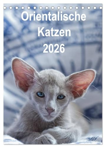 Orientalische Katzen 2026 (Tischkalender 2026 DIN A5 hoch), CALVENDO Monatskalender: Balinesen, Siamesen und Orientalisch Langhaar Katzen (CALVENDO Tiere)