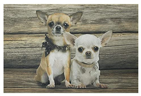 Unbekannt Mars & More - waschbare Fußmatte, Küchenmatte, Fußabtreter - Hund, Chihuahua - 70 x 50 cm