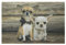 Unbekannt Mars & More - waschbare Fußmatte, Küchenmatte, Fußabtreter - Hund, Chihuahua - 70 x 50 cm