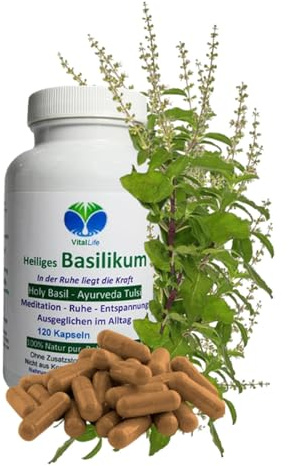 TULSIBASILIKUM 120 Kapseln Heiliges TULSI-BASILIKUM Holy-BASIL Ayurveda indisches Königskraut - Meditation Ruhe Entspannung - Ausgeglichen im Alltag. NATUR pur. OHNE ZUSATZSTOFFE. 26700-120