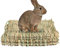 LINGJIONG heno para conejo, tejido paja, para jaulas, conejo, conejo, ropa cama, nido, jaula, estera para cobayas, loros, chinchilla hámsters