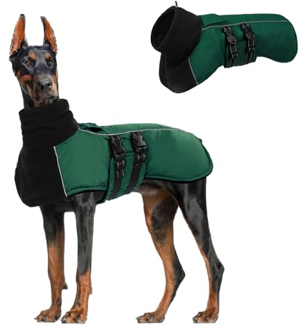 CITÉTOILE Hundemantel Winter Warmer, Hundejacke mit Hohem Kragen und Reflektierenden Streifen, Wasserdichter Wintermantel Hund mit Doppelschnalle und Klettverschluss, Grün, M
