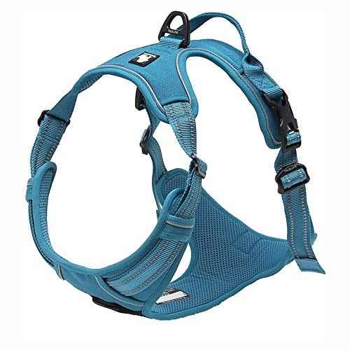 Truelove Adjustable No-Pull Dog Harness Reflective Vest, Blue, XL | Front Clip, No-Choke, Soft Padded, Control Handle, Anti Escape, Dog Car Harness, Walking and Training, Escape Proof, TLH5651
