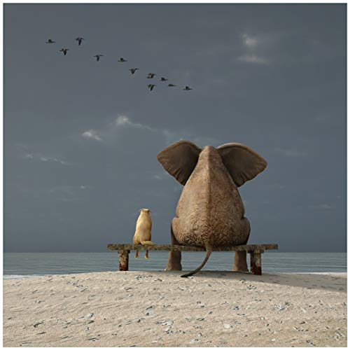 Wallario Magnetfolie für Kühlschrank/Geschirrspüler, magnetisch haftend - 60 x 60 cm, Motiv: Elefant und Hund sitzen auf Einer Bank