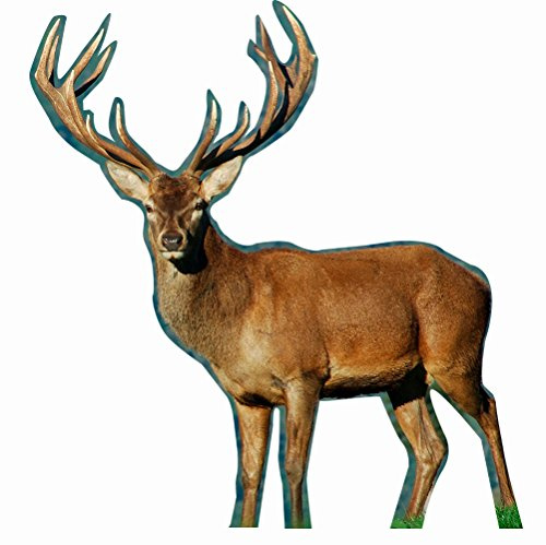 Oedim 5er-Pack Autoaufkleber Hirsch Jagd 16 x 16 cm | Einfache Anbringung | Wirtschaftlicher und strapazierfähiger Autoaufkleber