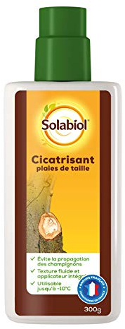 Solabiol SOCICAT3 Cicatrisant - Plaies De Taille 300 G