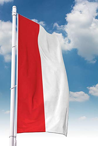 Deitert Bundesland-Flagge Hessen – 150x600 cm Hessen Fahne ohne Wappen im Hochformat, Hissfahne aus reißfestem Polyester