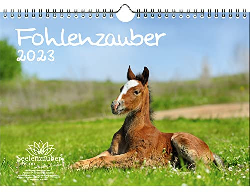Fohlenzauber DIN A4 Kalender für 2023 Pferde und Fohlen - Seelenzauber