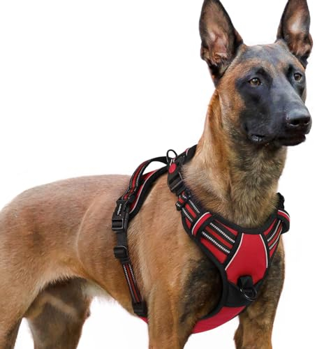 rabbitgoo Hundegeschirr Grosse Hunde, Verstellbare Geschirr Hund ohne Zug & Würgen, Anti Zug hundegeschirr mit Griff, weich Gepolsterte Reflektierende Brustgeschirr, Rot XL