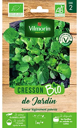Sachet graines Cresson de jardin BIO