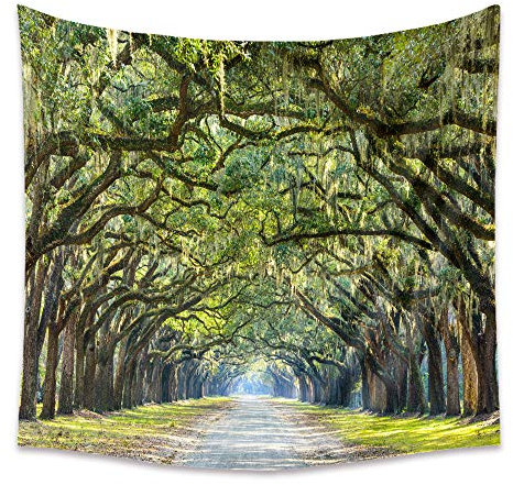 Lsimeru Wandteppich Wandbehang Wald 150x100 Natur Landschaft Wandtücher Waldweg Baum Grün Sonnenuntergang Wandtuch Forest Tree Tapestry Schlafzimmer Wohnzimmer Deko