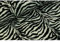 Sanftes Fellimitat, Kuh, Zepra, Tiger, Gazelle, Giraffe, Jaguar, Fantasifell-ca. 155 cm breit-50cm Schritte-Meterware-8 verschiedene Tiermotive (Zebra klein-3)