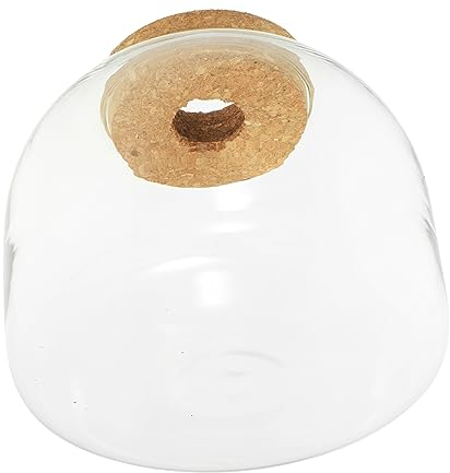 DOITOOL Glas-Terrarium Mit Holzstopfen Mikro-landschaftsgefäß Für Hydroponische Pflanzen Und Moos Zur Dekoration Pflanzgefäß Für Innenräume