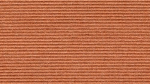 Tretford Teppichboden Ever 2 Meter Breit vorgegebene Größen Größe 400cm, Farbe 591