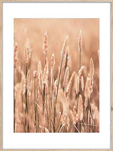 Rahmenbild Grasses 2 | Artbox Wandbild | Bild mit Holz Rahmen Optik Framepic | Weizen Gras Sommer Sonne Natur Feld Wiese Atmosphäre | Wohnzimmer Schlafzimmer Büro | orange weiß braun rosa | 50x70 cm