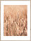 STYLER Wandbild Grasses 2 – Zarte Wildgräser in Naturtönen – Digitaldruck auf MDF mit Holzrahmen – 50 x 70 cm