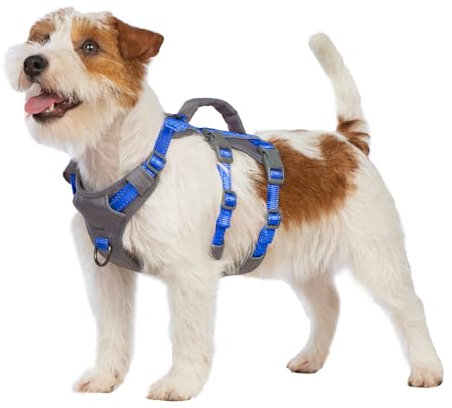 Huntboo Sicherheitsgeschirr Hund Ausbruchsicher, Panikgeschirr für Hunde, Reflektierendes Geschirr Hund mit Griff, Verstellbare Hundegeschirr für kleine, mittelgroße und große Hunde (Meeresblau,XS)