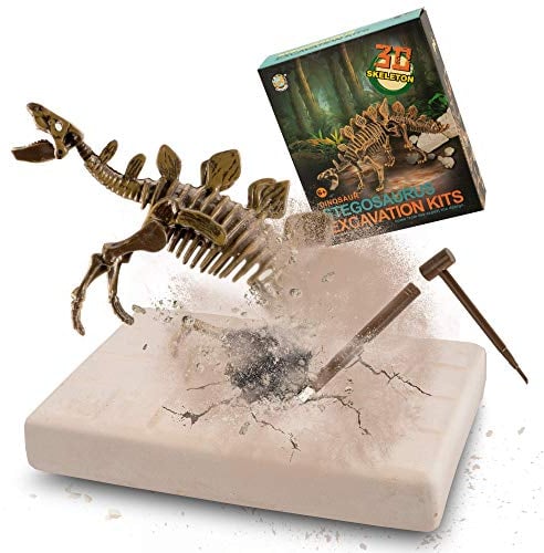 MUSCCCM Stegosaurus Ausgrabungsset für Kinder, Dino Spielzeug, 3D-Skelett Dinosaur Modell Dino Ausgrabungsset, Dino Party Kindergeburtstag Spiele, Dino Geschenk Mitgebsel Kindergeburtstag Junge