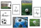 ANHUIB 7er Set Bunt Fußball Poster,Wandbilder für Kinderzimmer,Fußball Bild Set für Junge Schlafzimmer,Inspirierende Zitate Wandbild,Sport Bild Teenager Wandkunst Deko,3xDIN A3 + 4xDIN A4,Ohne Rahmen