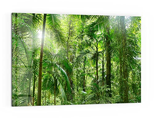 DEQORI Küchenrückwand Glas | Motiv Mitten im Dschungel | 60x40 cm | Bad- oder Herd-Rückwand | Herdblende Spritzschutz für Küche & Badezimmer | moderne Deko für Fliesenspiegel