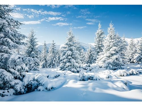 MIRRORANG 2,2x1,5m Toile de Fond Scène de Neige en Plein air Pin Arbre Ciel Fête en Plein air Frozen Affiche Décors de Noël pour Photoshoot Nouvel an Party Decor, Vinyle