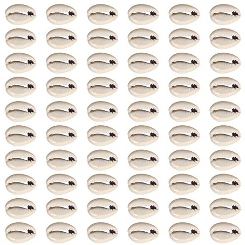 TOAOB 200 Stück Natürlichen Muschel Perlen mit Loch zum Auffädeln Grau Spirale Kauri Muscheln Bastelnmuscheln 12 bis 14mm für DIY Schmuck Machen Oder Deco Handwerk