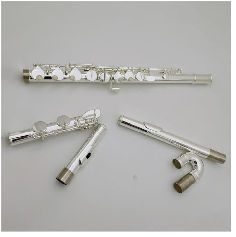 16-Loch-G-Tune-Flöte Mit Geschlossenem Loch, Musikinstrument, Altflöte Aus Sterlingsilber Mit Koffer Querflöte für Anfänger