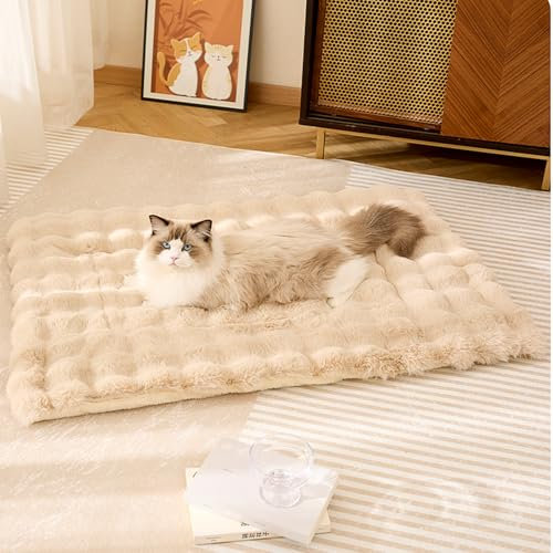 Jyswx Waschbare Plüsch-Hundebett-Matte – weiche und flauschige Matratze mit rutschfester Unterseite, perfekt für kleine bis große Hunde, Beige, 50 x 90 cm