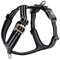 DOG Copenhagen Hundegeschirr - Comfort Walk Air Version 2 - Brustgeschirre für Hunde, Black, L