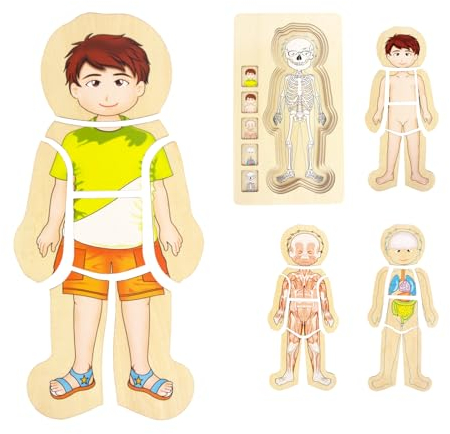 WOODENFUN Mein Körper Puzzle für Kinder 3-5, Montessori Anatomie Spiel Set, Schichtpuzzle für Vorschulkinder und Kinder ab 3 Jahren (Jungen)