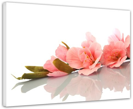 Bilderdepot24 Wandbild - Gladiole - Bild auf Leinwand 80 x 60 cm - Leinwandbilder Bilder als Leinwanddruck Geist & Seele Blume - orange weiss