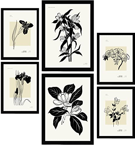 Nacnic Set mit 6 Postern in schwarzer Tinte. Orchideen. Kunstdrucke im Skizzenstil für Innenarchitektur und Dekoration. A3 & A4 ohne Rahmen.