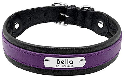 PET ARTIST Studded Purple Leather Dog Collar with Name Plate - Personalized Leather Dog Collars for Large Dogs - Free Engraved with ID Tags, L(Neck 15.5-20.5)