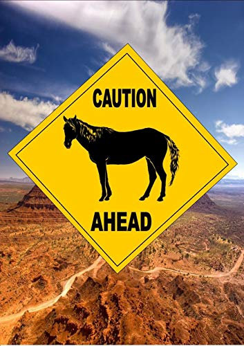 BCTS Panneau de signalisation routière de style australien avec inscription en anglais « Caution Chevaux »