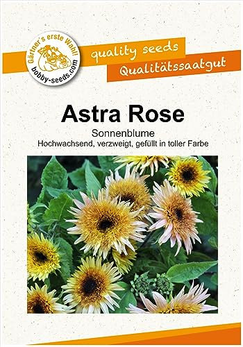 Blumensamen Astra Rose F1 Sonnenblume Portion