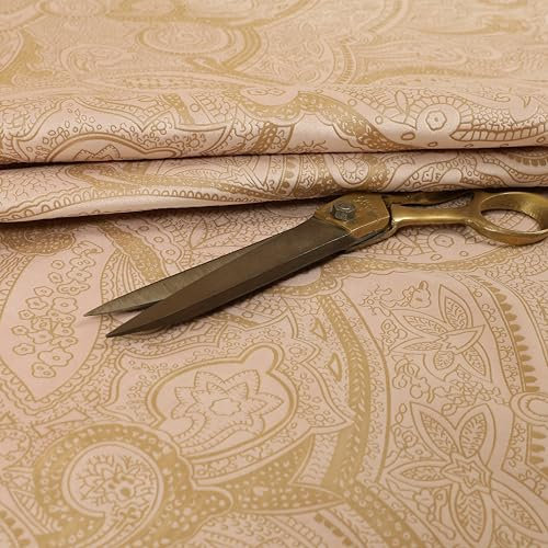 Redbrick Mill Fabrics Einrichtungsstoff, moderner Designerstoff mit Blumenmuster, weicher Samt, Samtmaterial, Polsterstoff, Vorhangstoff, Blush Pink, Meterware (pro Meter)