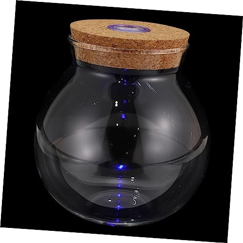 TOYANDONA Glas Pflanzen Terrarium ?kosystem Im Glas mit Kork LED DIY Flaschengarten Glasterrarium Blumentopf Tischdeko Glasvase Blumenvase Gew?chsh?uschen für Sukkulenten Moos Farn Kaktus Topf 13CM