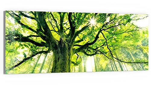 DEQORI Glasbild Acrylglas | Motiv Eindrucksvoller Baum | horizontal einteilig 125x50 cm | schöne Dekoration | Wandbild für Wohnzimmer, Schlafzimmer, Flur & Küche | moderne Wanddeko
