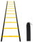 4M Agility Ladder Speed Training Ladder with 12 Adjustable Rungs, Football Training Equipment for Speed, Footwork & Agility, Agility Training Equipment for Football, Tennis, Basketball, Rugby & Sports